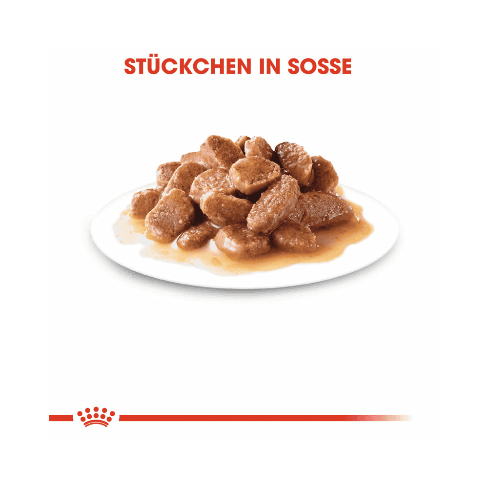 Instinctive 7+ in Sauce - Frischebeutel