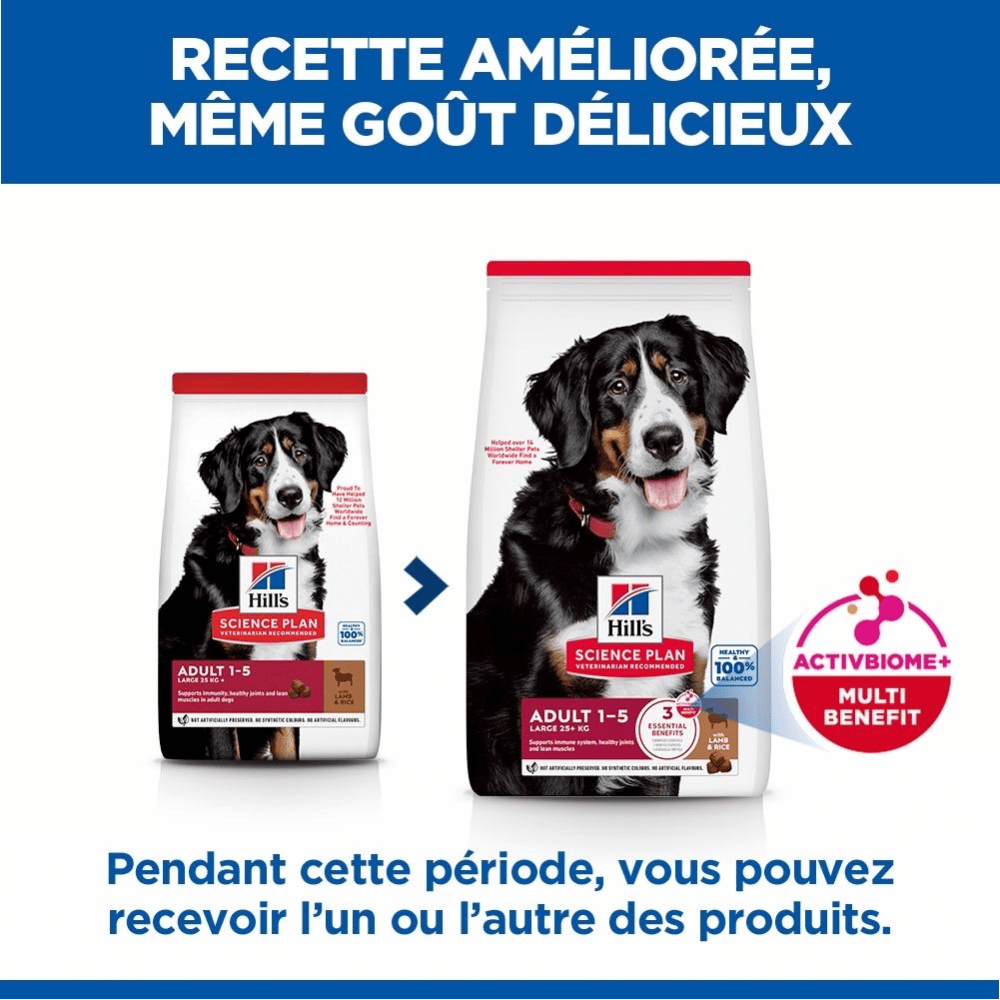 Canine Adult Large Breed Lamb & Rice
