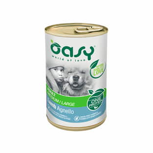 Wet Dog One Adult Medium/Large Breed Lamb