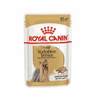 Yorkshire Terrier - Frischebeutel