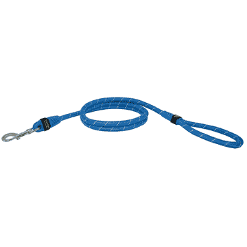 City leash Bungee