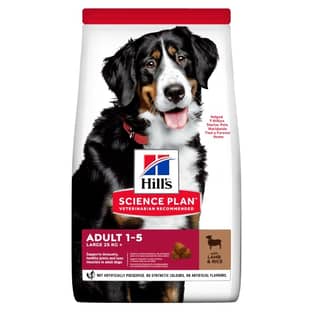 Canine Adult Large Breed Lamb & Rice