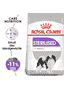 X-Small Sterilised