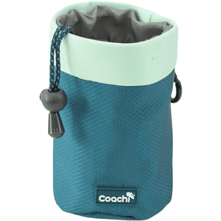 Puppy Treat Pouch