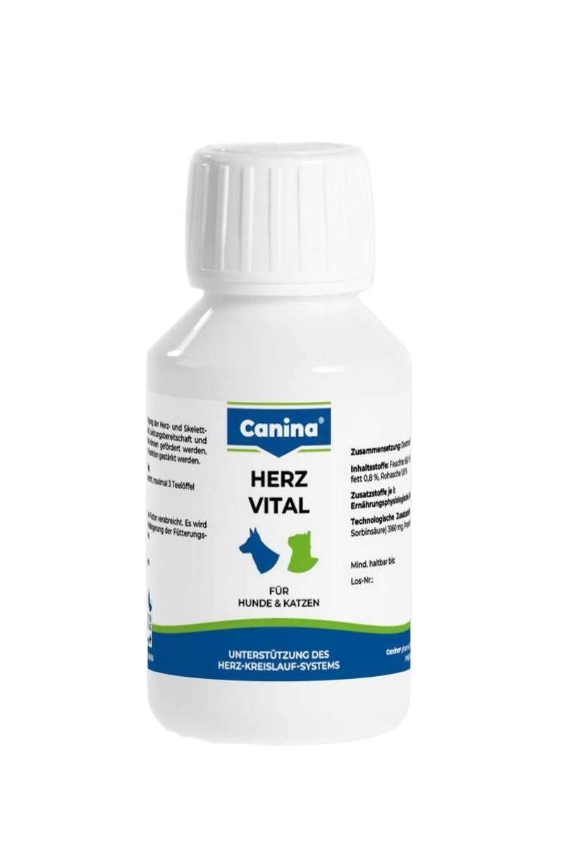 Herz Vital