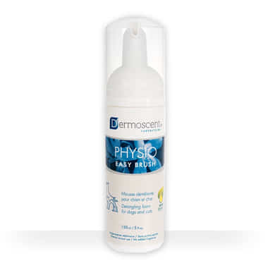 PHYSIO Easy Brush
