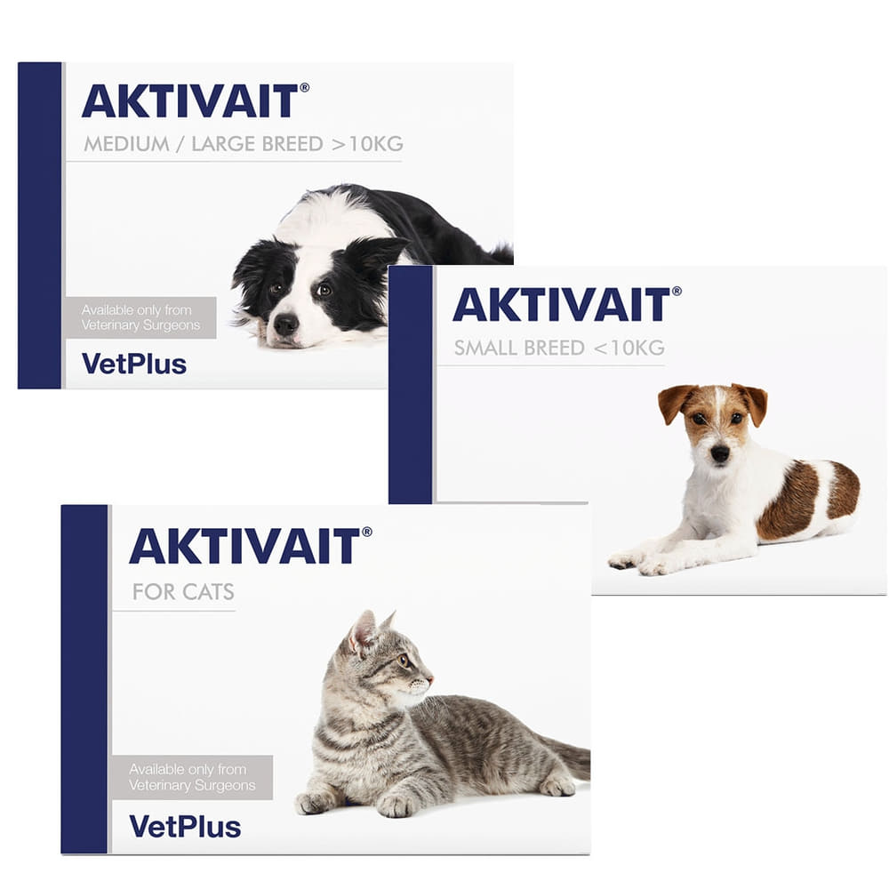 AKTIVAIT