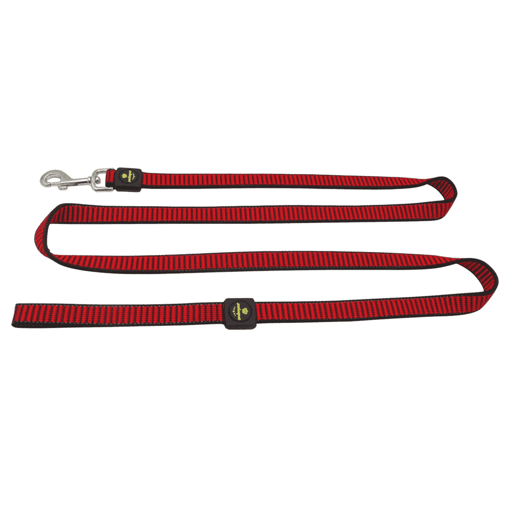 swisspet Citydog leashes, M
