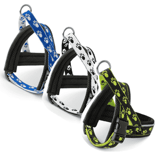 Harnais Nordic Basic Mini M2