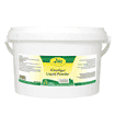 Diatomite