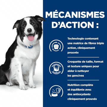 Canine t/d Detal Care
