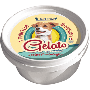 Glace pour chiens