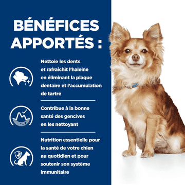 Canine t/d Dental Care Mini