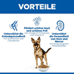 Canine Mature Adult 6+ Large Breed