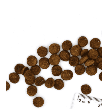 Grain Free Large Breed All Life Stage Buffalo