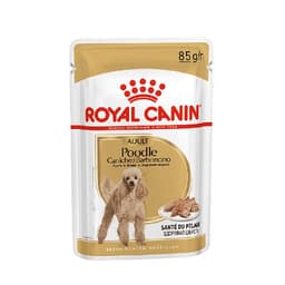 Caniche - sachet