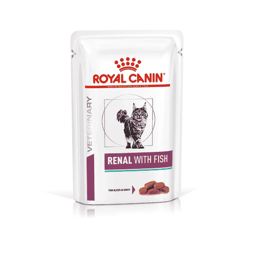 royal canin renal food cats