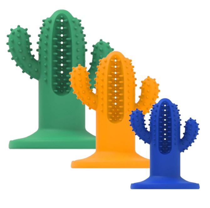 Dental Chew Cactus Rubber