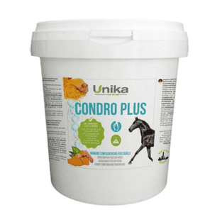 Condro Plus