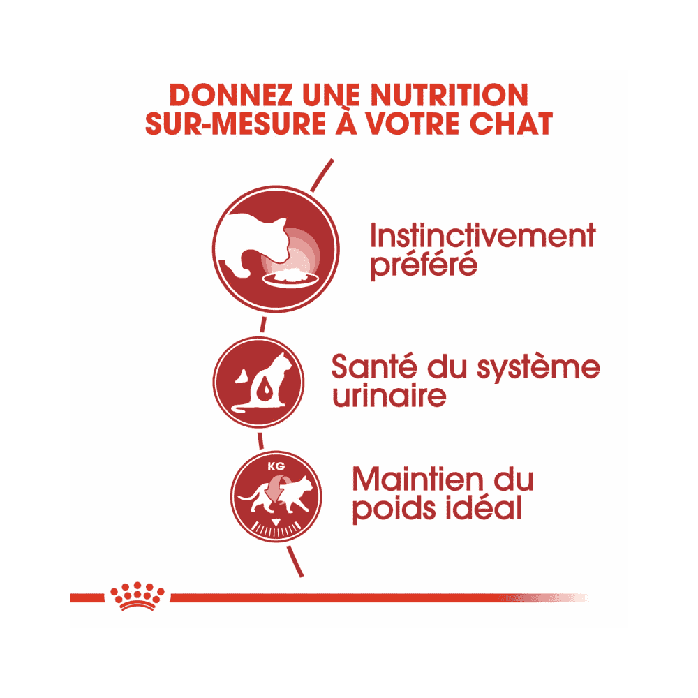 Instinctive mousse - sachet