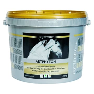 Artphyton