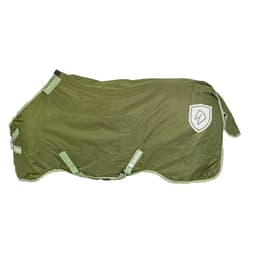Couverture d'extérieur Dallas 200 g - olive