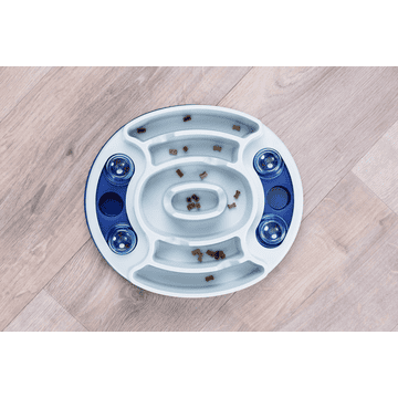 Dog Activity Slide & Feed