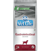 Canine Gastrointestinal