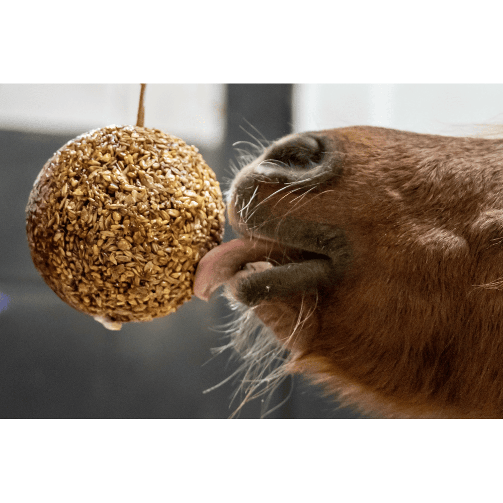 Granola Stable Ball