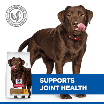 Canine Adult Healthy Mobility Large Breed