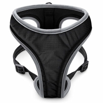 Geschirr Sport Soi Uni schwarz