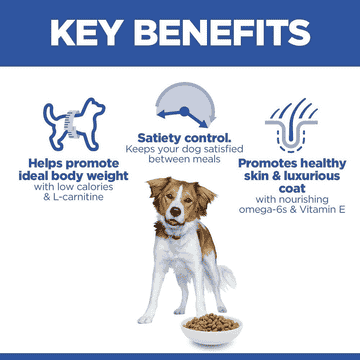 Canine Adult Light Medium Breed
