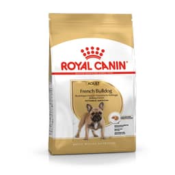 Bouledogue Francais