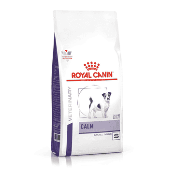 Calm Dog