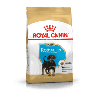 Rottweiler Puppy