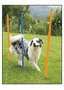 Set de slalom d’agility