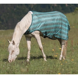 Couverture anti-mouches Walker - turquoise