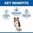 Canine Mature Adult 7+ Medium Breed Lamb & Rice