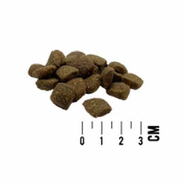 DOG Mono Canard frais & Patate douce