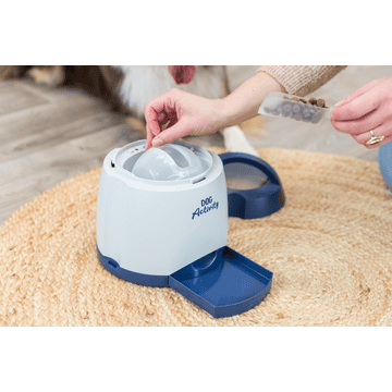 Dog Activity Memory Trainer 3.0