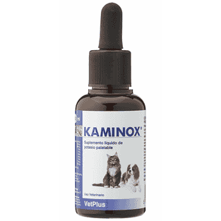 Kaminox