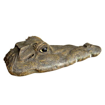 Tête de crocodile flottante