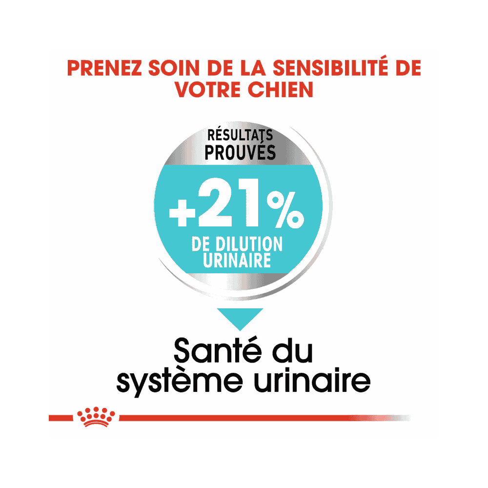 Urinary Care Mini