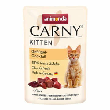 Carny Kitten
