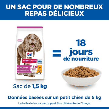 Canine Senior 11+ Small & Mini Breed