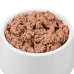 Autruche pure