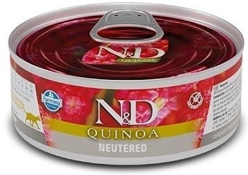 Feline Adult Neutered Schwein