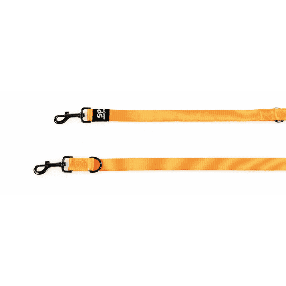 TrendLine ONE Leine, orange