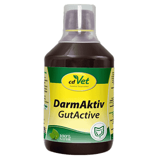 GutActive Chien