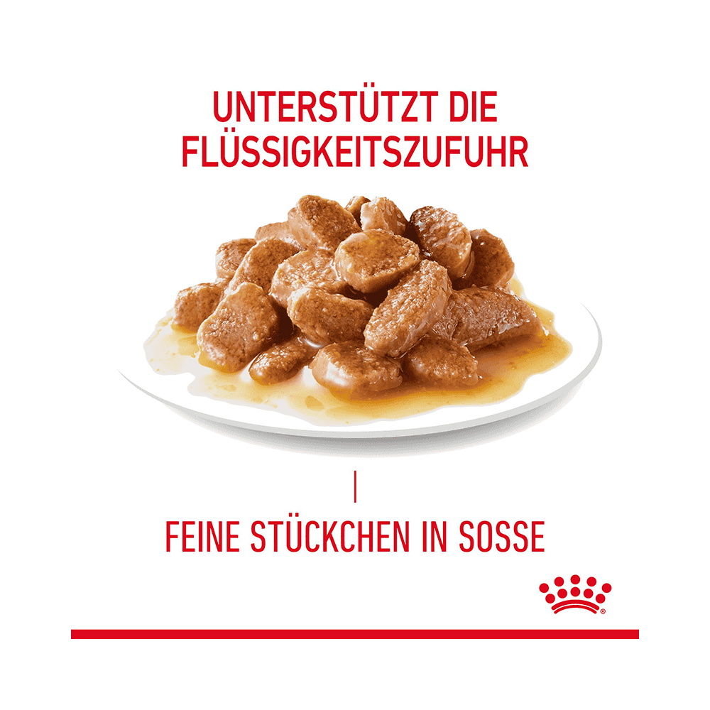 Appetite Control Gravy - Frischebeutel